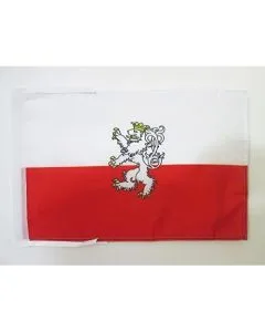 DRAPEAU BOHÍ?ME 45x30cm - PAVILLON DE BÍ?HMEN 30 x 45 cm haute qualité