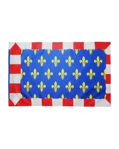 DRAPEAU PROVINCE DE TOURAINE 150x90cm - DRAPEAU TOURS - FRANCE 90 x 150 cm Fourreau pour hampe