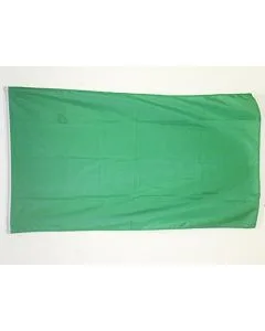 DRAPEAU UNICOLORE VERT 150x90cm - DRAPEAU DE COULEUR VERTE 90 x 150 cm - DRAPEAUX