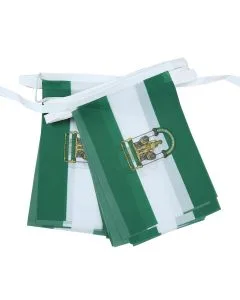 GUIRLANDE 6 mètres 20 DRAPEAUX ANDALOUSIE 21x15 cm - DRAPEAU ANDALOUS 15 x 21 cm