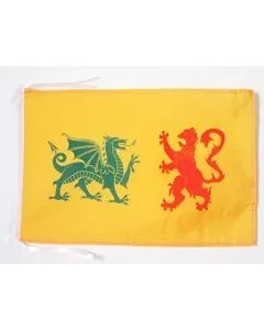 DRAPEAU ROYAUME DE GALICE 410-585 45x30cm - PAVILLON REINO DE GALICIA - ESPAGNE 30 x 45 cm haute qualité