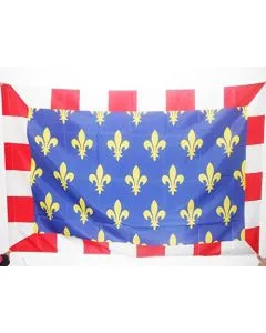 DRAPEAU PROVINCE DE TOURAINE 90x60cm - DRAPEAU TOURS - FRANCE 60 x 90 cm Fourreau pour hampe