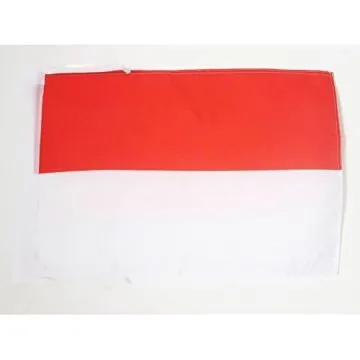DRAPEAU ALSACE ROT UN WISS 45x30cm - PAVILLON ALSACIEN - FRANCE 30 x 45 cm haute qualité