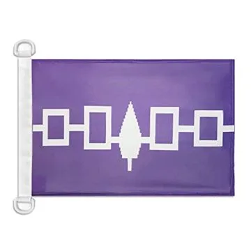 Pavillon nautique Iroquois du Canada 45x30 cm Anneaux Plastiques