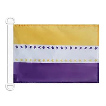 Pavillon nautique XIXe amendement de la Constitution des États-Unis 45x30 cm Anneaux Plastiques