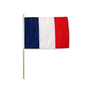 DRAPEAU FRANCE 45x30cm HAMPE en bois - LOT DE 10 DRAPEAUX FRANÇAIS 30 x 45 cm