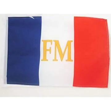 DRAPEAU FRANCE MITTERRAND 45x30cm - PAVILLON FRANÇAIS 1981 30 x 45 cm haute qualité