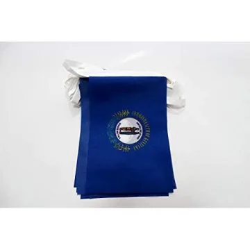 Guirlande 6 mètres 20 Drapeaux Kentucky 21x15 cm - Drapeau de l\'état américain du Kentucky 15 x 21 cm