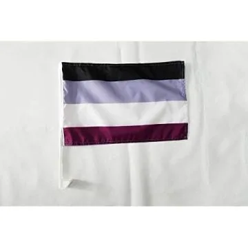 Drapeau de voiture Arc-en-Ciel Asexuel 45x30cm - Carflag Aasexualité - Rainbow 30 x 45 cm