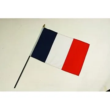DRAPEAU FRANCE 45x30cm HAMPE noire - LOT DE 10 DRAPEAUX FRANÇAIS 30 x 45 cm