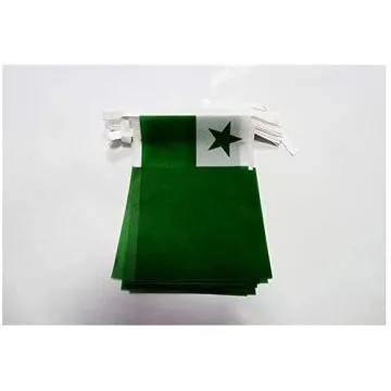 Guirlande 6 mètres 20 Drapeaux Esperanto 21x15 cm - Drapeau de la langue internationale 15 x 21 cm