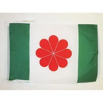 DRAPEAU TAÏWAN INDÉPENDANTISTE 45x30cm - PAVILLON TAÏWANAIS NATIONALISTE 30 x 45 cm haute qualité