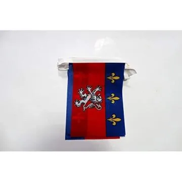 Guirlande 6 mètres 20 Drapeaux Province du Lyonnais 21x15 cm - Drapeau de Lyon 15 x 21 cm