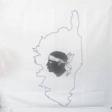 DRAPEAU CORSE AVEC Í?LE 90x90cm - DRAPEAU CORSICA 90 x 90 cm Fourreau pour hampe
