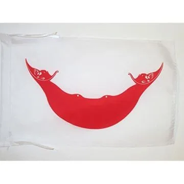 DRAPEAU ÎLE DE PÂQUES 45x30cm - PAVILLON RAPA NUI - CHILI 30 x 45 cm haute qualité