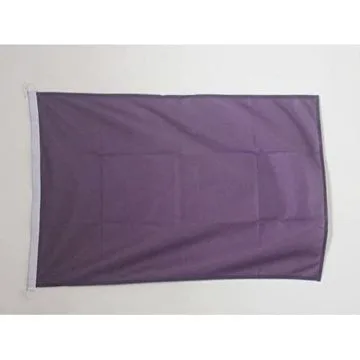 PAVILLON NAUTIQUE UNICOLORE VIOLET 45x30cm - DRAPEAU DE BATEAU DE COULEUR VIOLETTE 30 x 45 cm