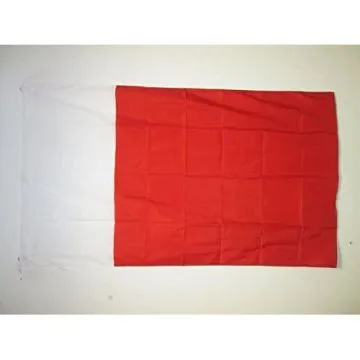 DRAPEAU DUBAÏ 90x60cm - DRAPEAU DOUBAI AUX Í?MIRATS ARABES UNIS 60 x 90 cm Fourreau pour hampe