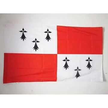 DRAPEAU PAYS DE DOL 150x90cm - DRAPEAU BRO-ZOL EN BRETAGNE 90 x 150 cm Fourreau pour hampe