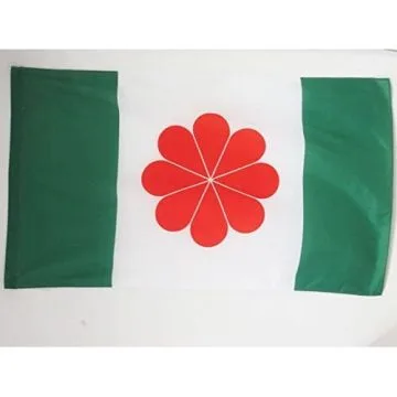 DRAPEAU TAÏWAN INDÍ?PENDANTISTE 150x90cm - DRAPEAU TAÏWANAIS NATIONALISTE 90 x 150 cm Fourreau pour hampe