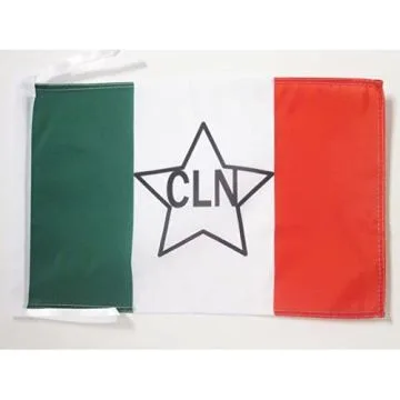 DRAPEAU ITALIE COMITÉ DE LIBÉRATION NATIONAL 45x30cm - PAVILLON ITALIEN RÉSISTANCE - CLN 30 x 45 cm haute qualité