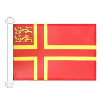 Pavillon nautique Normandie Croix de Olaf 2 lions 45x30 cm Anneaux Plastiques