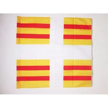 DRAPEAU ORDONNANCE DU RÍ?GIMENT DE BÍ?ARN 1684-1762 90x90cm - DRAPEAU BALAGNY 90 x 90 cm Fourreau pour hampe