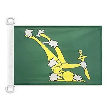 Pavillon nautique Irlande Starry Plough vert 45x30 cm Anneaux Plastiques
