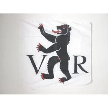 DRAPEAU CANTON D\'APPENZELL RHODES-INTÍ?RIEURES 90x90cm - DRAPEAU APPENZELL INNERRHODEN - AI SUISSE 90 x 90 cm Fourreau pour hampe