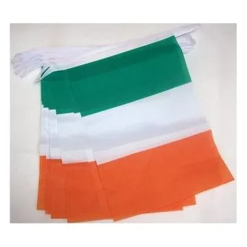 GUIRLANDE 3 mètres 10 drapeaux IRLANDE 21x15 cm - DRAPEAU IRLANDAIS 15 x 21 cm