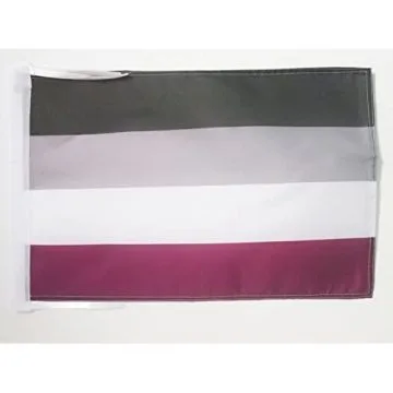 DRAPEAU ARC-EN-CIEL ASEXUEL 45x30cm - PAVILLON AASEXUALITÉ - RAINBOW 30 x 45 cm haute qualité