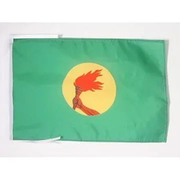 DRAPEAU ZAÏRE 45x30cm - PAVILLON ZAÏROIS 30 x 45 cm haute qualité
