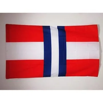 DRAPEAU DUCHÍ? DE MODÍ?NE 1452-1859 150x90cm - DRAPEAU ITALIEN ANCIEN - ITALIE 90 x 150 cm Fourreau pour hampe