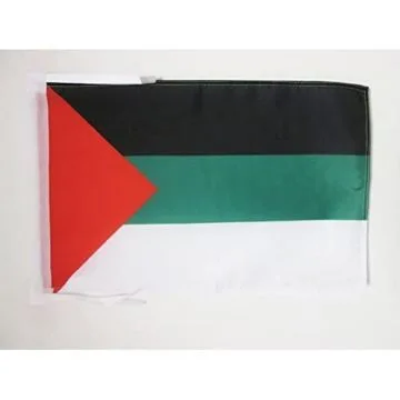 DRAPEAU MOUVEMENT PANARABE 45x30cm - PAVILLON DU PANARABISME 30 x 45 cm haute qualité