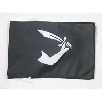 DRAPEAU PIRATE THOMAS TEW 45x30cm - PAVILLON CORSAIRE TÍ?TE DE MORT 30 x 45 cm haute qualité