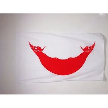 DRAPEAU Í?LE DE PÍ?QUES 150x90cm - DRAPEAU RAPA NUI - CHILI 90 x 150 cm Fourreau pour hampe