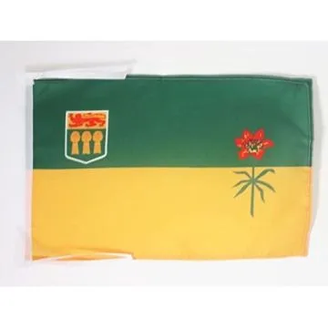 DRAPEAU SASKATCHEWAN 45x30cm - PAVILLON CANADIEN - CANADA 30 x 45 cm haute qualité