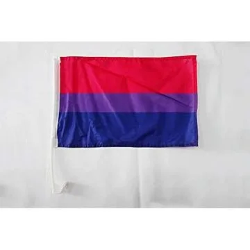 Drapeau de voiture Bisexuel 45x30cm - Carflag bisexuel - Arc en Ciel - Rainbow 30 x 45 cm