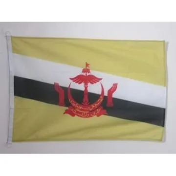 PAVILLON NAUTIQUE BRUNEI 45x30cm - DRAPEAU DE BATEAU BRUNÍ?IEN 30 x 45 cm