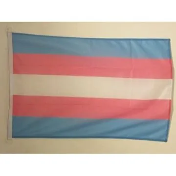 PAVILLON NAUTIQUE ARC-EN-CIEL TRANSGENRE 45x30cm - DRAPEAU DE BATEAU TRANGENDER - RAINBOW 30 x 45 cm