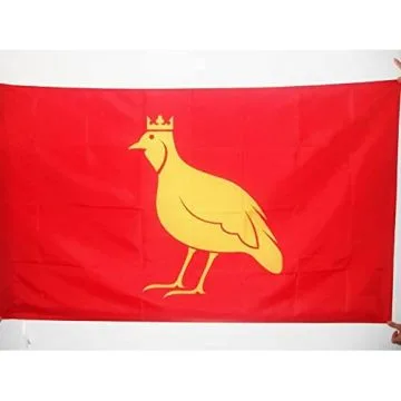 DRAPEAU PROVINCE D\'AUNIS 150x90cm - DRAPEAU CHARENTE-MARITIME - FRANCE 90 x 150 cm Fourreau pour hampe