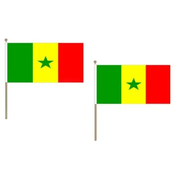 DRAPEAU SÍ?NÍ?GAL 45x30cm HAMPE en bois - LOT DE 10 DRAPEAUX SÍ?NÍ?GALAIS 30 x 45 cm