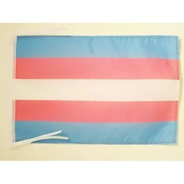 DRAPEAU ARC-EN-CIEL TRANSGENRE 45x30cm - PAVILLON TRANGENDER - RAINBOW 30 x 45 cm haute qualité