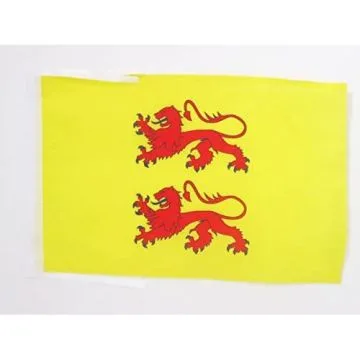 DRAPEAU COMTÉ DE BIGORRE 45x30cm - PAVILLON DUCHÉ DE GASCOGNE 30 x 45 cm haute qualité