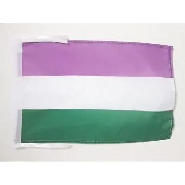 DRAPEAU FIERTÍ? GENDERQUEER 45x30cm - PAVILLON ARC EN CIEL 30 x 45 cm haute qualité