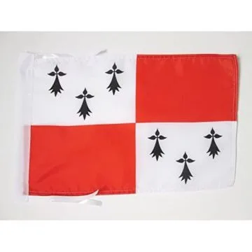 DRAPEAU PAYS DE DOL 45x30cm - PAVILLON BRO-ZOL EN BRETAGNE 30 x 45 cm haute qualité