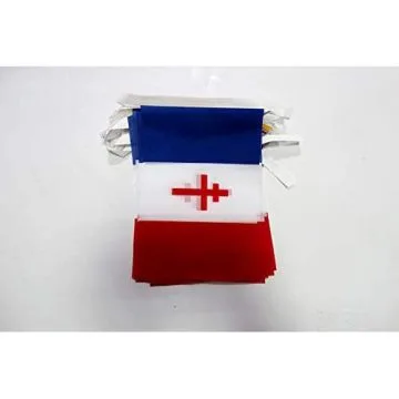 Guirlande 6 mètres 20 Drapeaux France libre 1940-1944 21x15 cm - Drapeau français de la résistance 15 x 21 cm