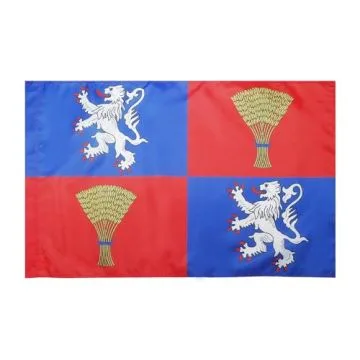 DRAPEAU PROVINCE DE GASCOGNE 90x60cm - DRAPEAU GASCON - FRANCE 60 x 90 cm Fourreau pour hampe