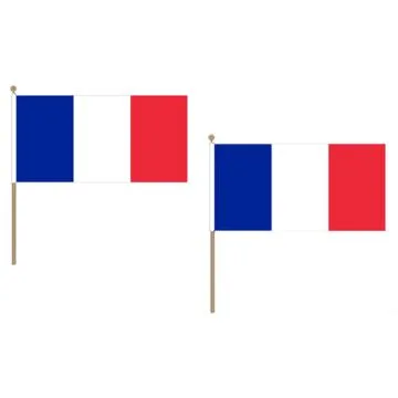 DRAPEAU FRANCE 45x30cm HAMPE en bois - LOT DE 10 DRAPEAUX FRANÍ?AIS 30 x 45 cm