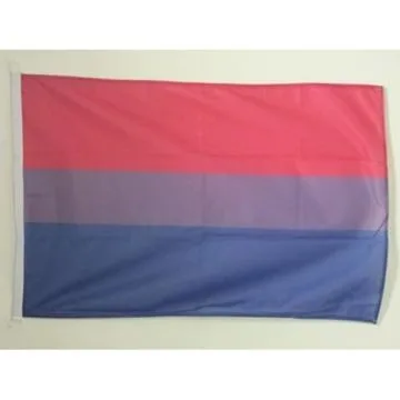 PAVILLON NAUTIQUE BISEXUEL 45x30cm - DRAPEAU DE BATEAU BISEXUEL - ARC EN CIEL - RAINBOW 30 x 45 cm