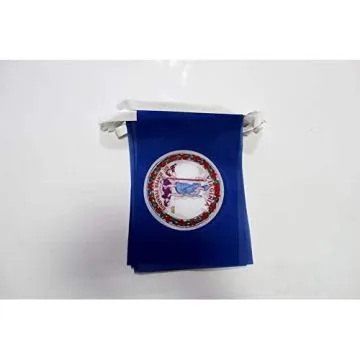 Guirlande 6 mètres 20 Drapeaux Virginie 21x15 cm - Drapeau de l\'état américain de Virginie 15 x 21 cm